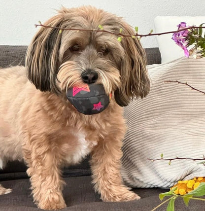 Stelle deinen Ball selbst zusammen