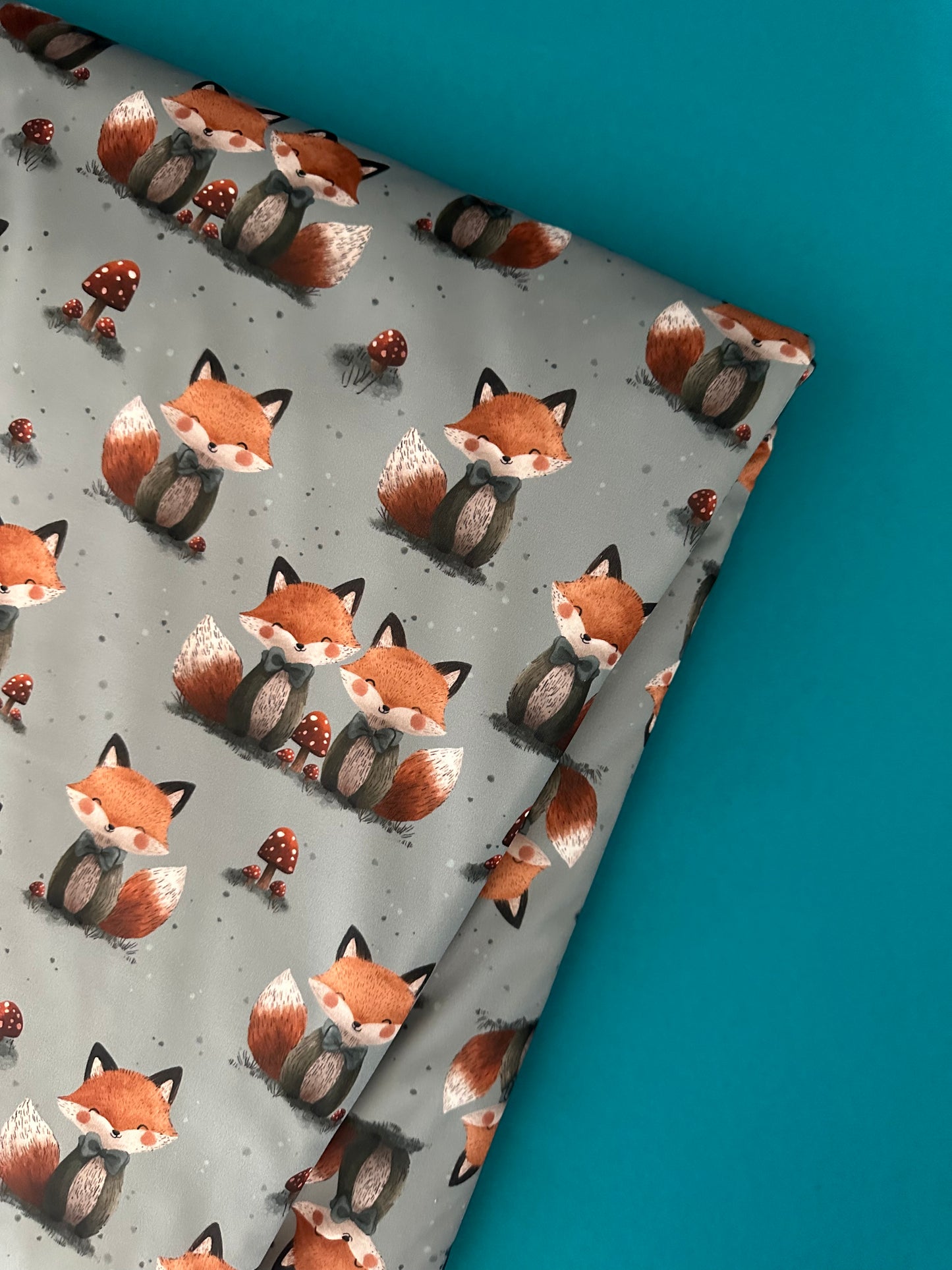 Sofortkauf | Softshelldecken Fuchs & Pilz